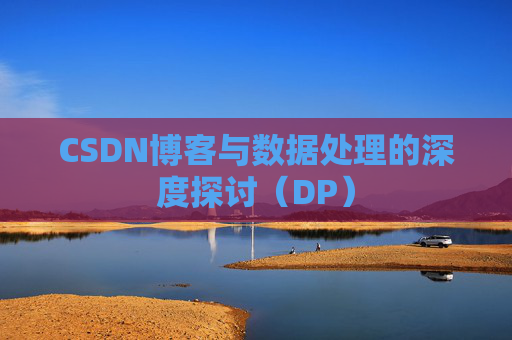 CSDN博客与数据处理的深度探讨（DP）